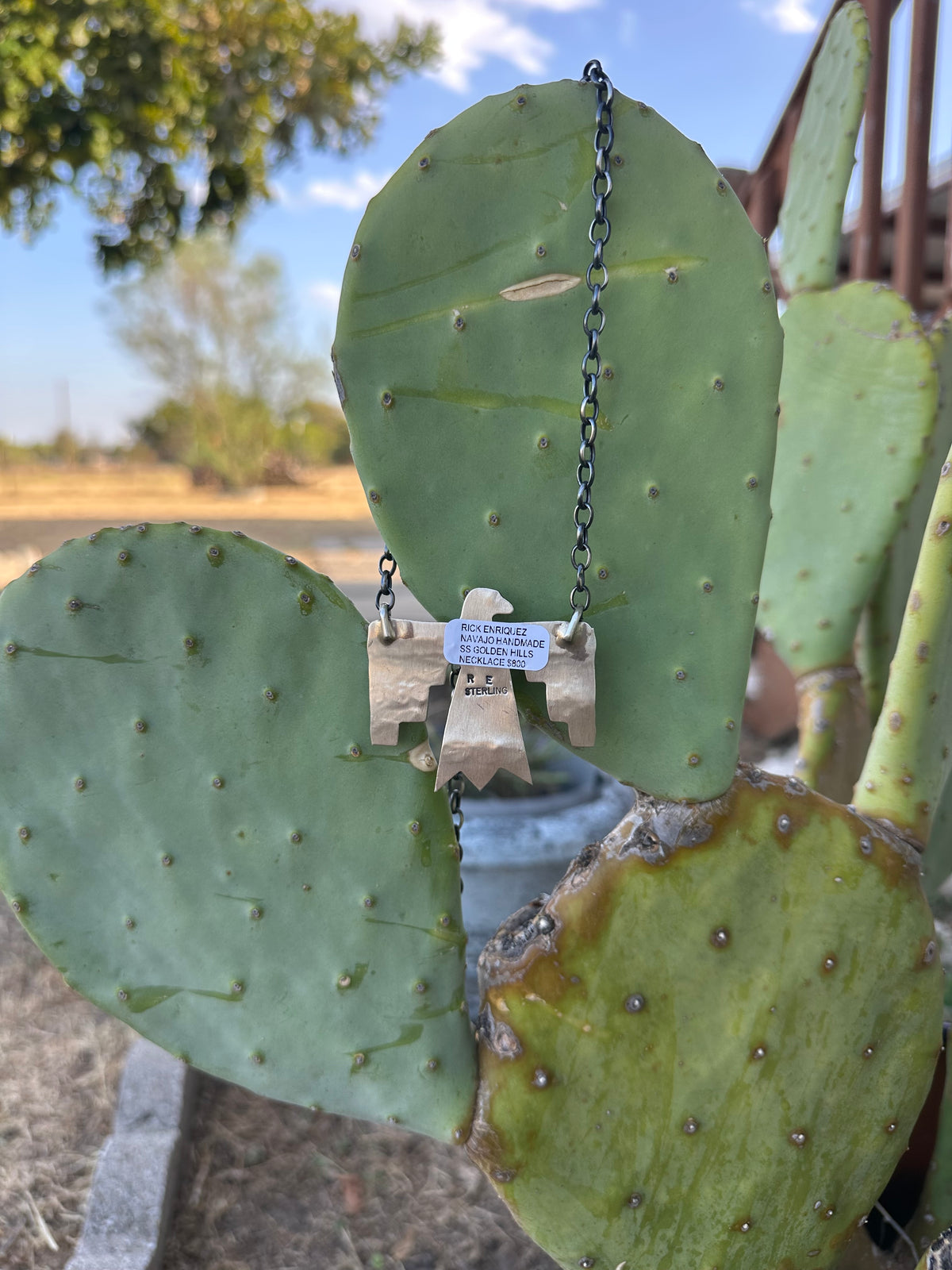 Sonoran Gold Thunderbird