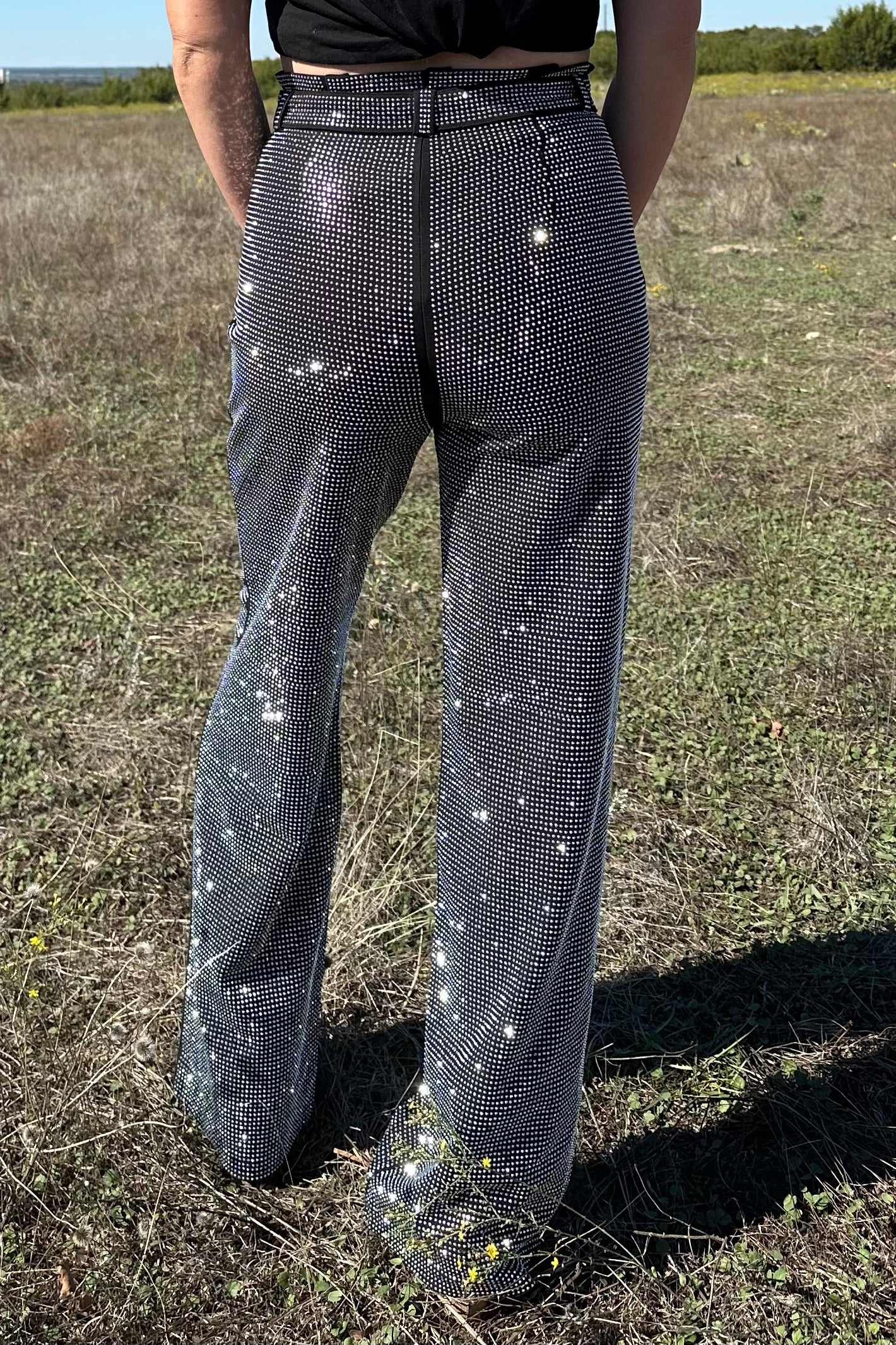 The Rhinestone Pants