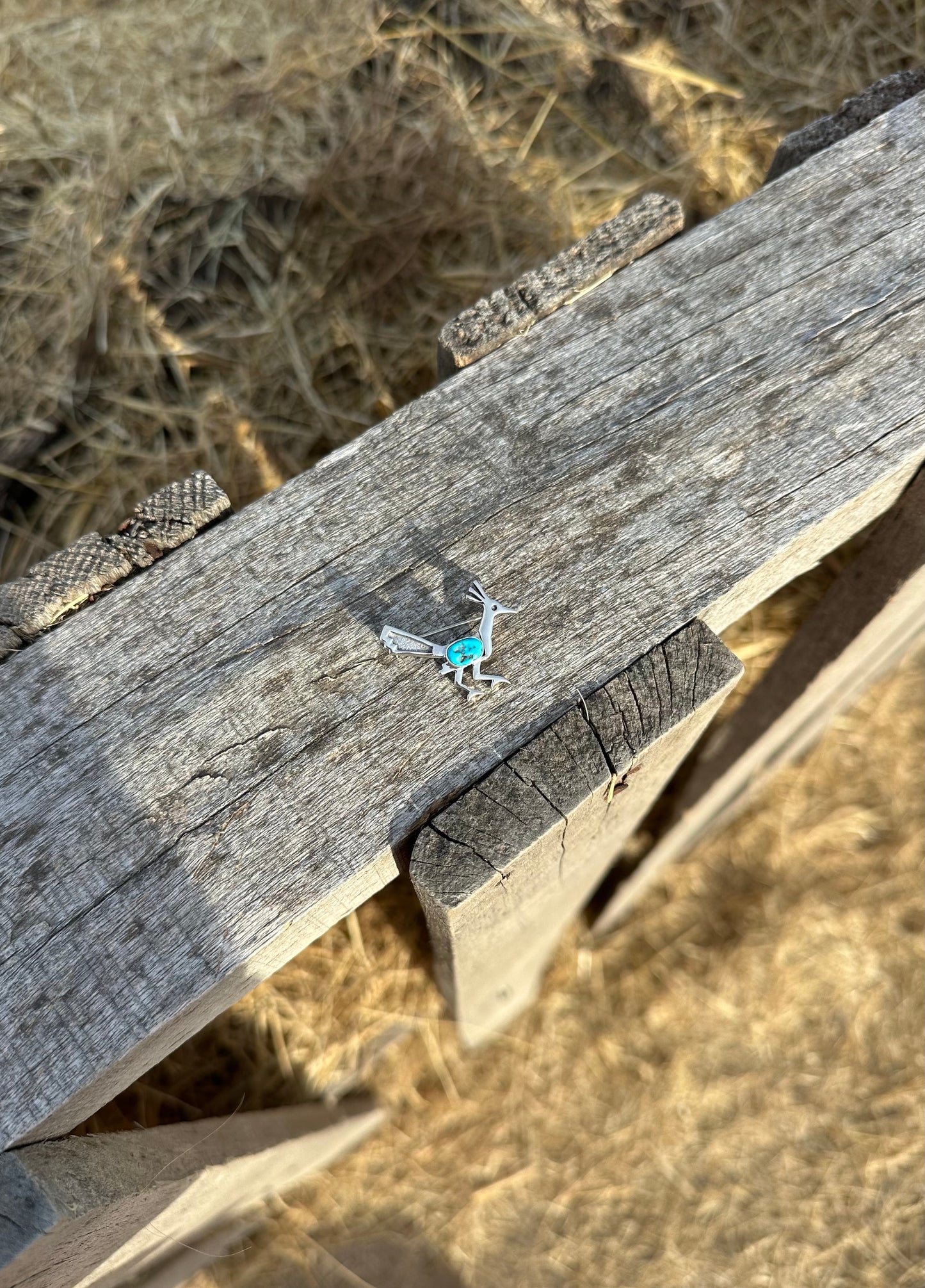 Road Runner Pin