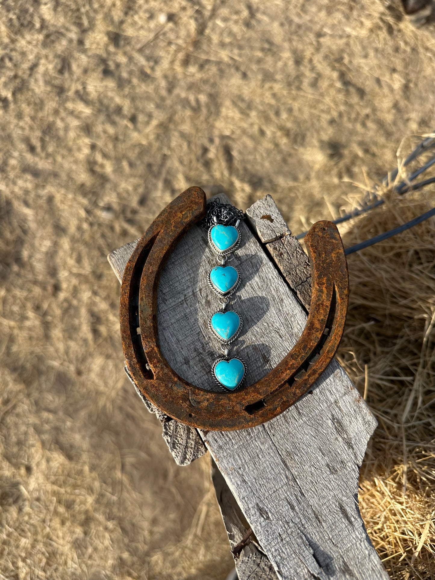 The Heart Lariat