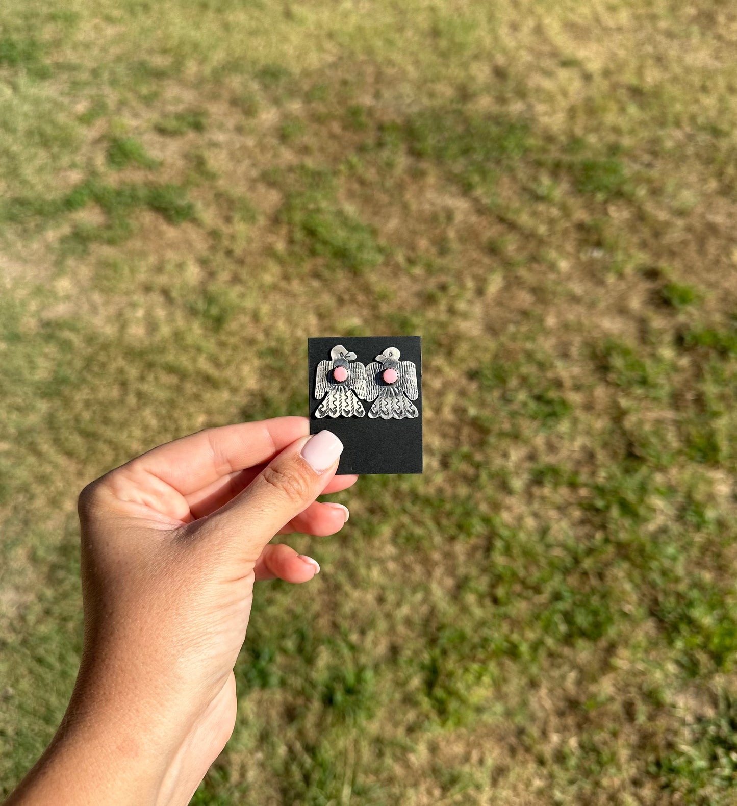 Pink Conch Thunderbirds