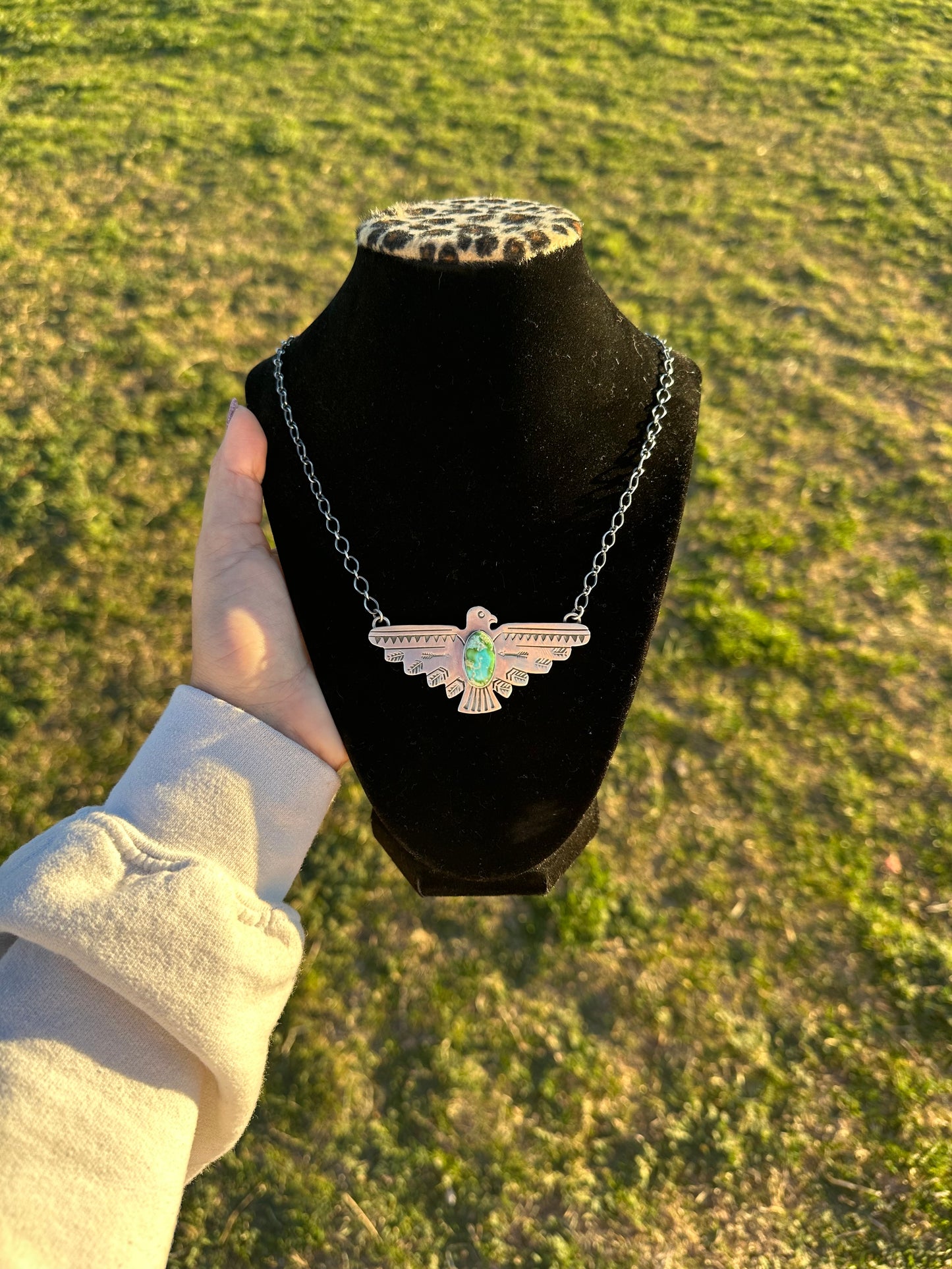 Sonoran Thunderbird